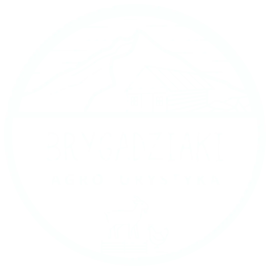 logo of brygadziaki